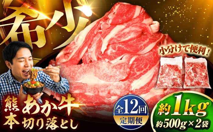 
                  【全12回定期便】熊本和牛あか牛切り落とし 約1kg / 切り落とし 牛肉 あか牛切り落とし きりおとし すき焼き 定期便 便利  おいしい 美味しい 牛丼 肉じゃが 煮物 冷凍 牛  計1キロ 贈答 ギフト おすすめ 人気 おすすめ 小分け 便利 あか牛 熊本県 熊本 菊陽町 菊陽  【有限会社　三協畜産】[BHAS047]
                