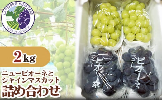 No.163 世羅産　ニューピオーネとシャインマスカット詰め合わせ約2kg ／ 果物 フルーツ 葡萄 ブドウ 広島県