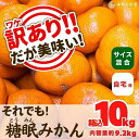 【ふるさと納税】訳あり それでも 熟成みかん 箱込10kg ( 内容量 9.2kg ) サイズミックス B品 有田みかん 和歌山県産 産地直送 家庭用 【みかんの会】 | 和歌山 フルーツ 果物 くだもの かんきつ 柑橘 柑橘類 みかんの会 送料込み 送料無料