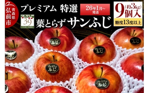 【26年1月～発送】りんご 【 数量限定 】糖度13度以上 「特選」 プレミアム 葉とらずサンふじ 約 3kg 9個入り【レビューキャンペーン】