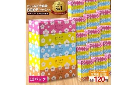 【ふるさと納税】3か月ごと2回　プラムファッション Boxティッシュ 5箱×12パック
