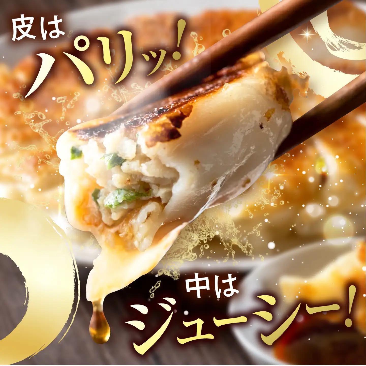 訳あり 本格 餃子 100個餃子 [AKHQ002]
