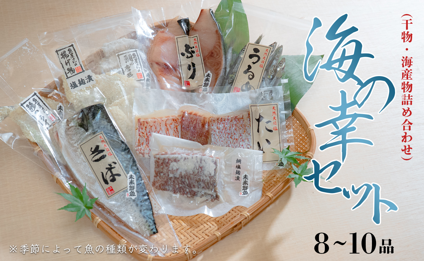 海の幸 干物セット 詰め合わせ 8～10品入り 鯛 うるめ あじ さば ぶり｜塩麹漬け みりん干し おかず 朝食 弁当 夕食 手作り 魚介 海鮮 海産物 セット 新鮮 冷凍 ギフト 贈答用 ご飯のお供 酒の肴 贅沢 グルメ 高知県 大月町産
