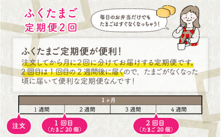 【月2回お届け】定期便 毎月数量限定！平飼い福地鶏「ふくたまご」 10個 （2パック） × 2回 [A-4934]