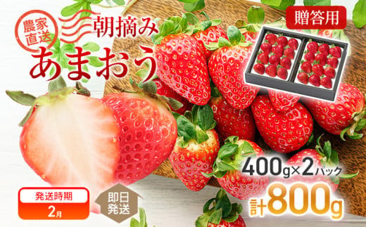 ※写真はイメージです