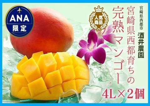 【ANA限定】西都産完熟マンゴー『大玉4L×2玉』（1kg以上） 酒井農園 大玉【先行予約】2026年発送分＜2.3-6＞
