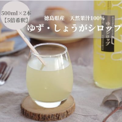 
徳島県産果汁たっぷり　ゆず・しょうがシロップ(500ml)2本セット＜5倍希釈＞【1209848】
