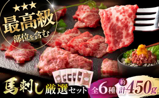 【年内発送は12月11日ご入金分まで！】「熊本特産」馬刺し専門店厳選の6種セット 3893 / 肉 馬肉 ネギトロ 馬刺し 大トロ 赤身 ヒレ肉 馬肉 ネギトロ 馬刺し 赤身 バサシ たれ付き  馬刺し 馬刺 熊本 菊陽 スライス 小分け 450g 低カロリー 高タンパク 人気 絶品 熊本県 菊陽町 馬肉 専用醤油 たれ ばさし 専用醤油付き 【株式会社フジチク】 [BHAD022]
