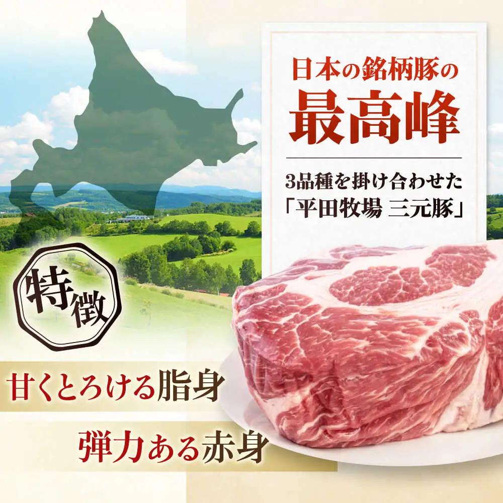  肩ロース ブロック 600g ロースブロック AJAP074