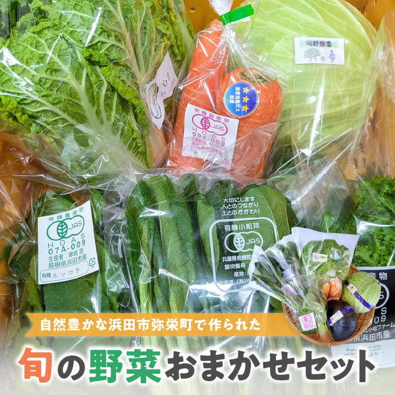 【ふるさと納税】自然豊かな浜田市弥栄町で作られた「旬の野菜おまかせセット」 野菜 野菜セット 旬 詰め合わせ セット おまかせ おたのしみ ギフト 【065_0228】