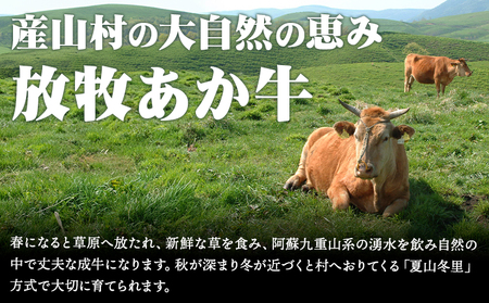 あか牛サーロインステーキ 600g あか牛 ステーキ肉 300g 2枚|焼肉正