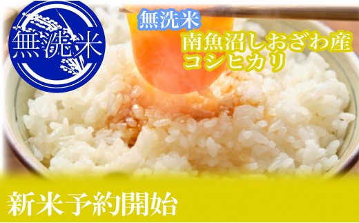 【令和8年産　新米予約】定期便６ヶ月：無洗米2kg●南魚沼しおざわ産コシヒカリ【定期便 銘柄米 ブランド米 精米 こしひかり コシヒカリ 魚沼産 新潟米 お米 米 こめ コメ】【2026年10月上旬から1ヶ月以内に順次発送予定】