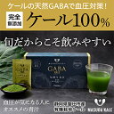 【ふるさと納税】【毎月定期便】血圧対策+手軽に野菜摂取!【無添加 ケールまるごと100%青汁】スーパーフード全3回【4003779】