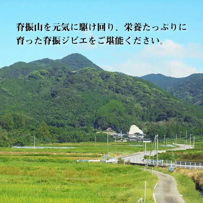 【3回定期便】≪脊振ジビエ≫3種のイノシシ肉セット 総量3.6kg 猪 佐賀 鍋 濃厚 さっぱり 小分け 新鮮 旨味 ブイマート・幸ちゃん[FAL061]