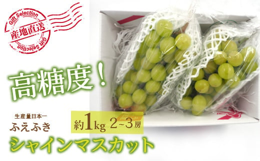 ＜25年発送先行予約＞厳選！ 山梨県笛吹市産シャインマスカット 約1.0kg(2～3房) 156-009 | シャインマスカット 発送 笛吹市 山梨県 フルーツ 果物 ぶどう 葡萄 シャインマスカット おすすめ シャインマスカット 贈答 ギフト 産地 笛吹市 ふえふき 種なし 高級 新鮮 笛吹 葡萄 国産 ぶどう 人気 国産 1kg 先行 予約 シャイン マスカット｜