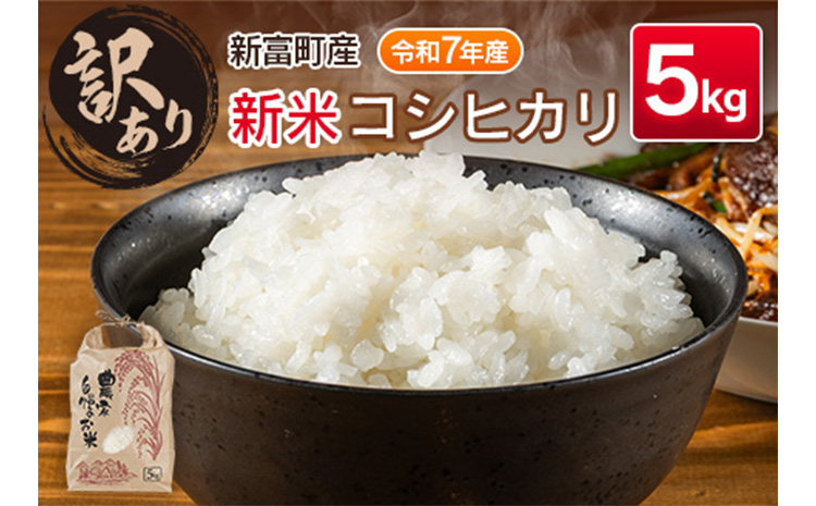 ＜訳あり＞令和７年産　新米コシヒカリ5kg 宮崎県新富町産【B679】