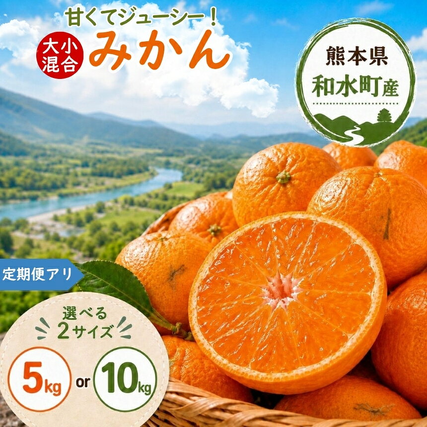 【ふるさと納税】【 先行予約 】 みかん 熊本県 和水町産 みかん 選べる内容量 約 5kg or 10kg 選べる回数 1回 2回 3回 | 熊本県 熊本 くまもと 和水町 なごみ ミカン 大小混合 柑橘 果物 季節の果物 温州みかん