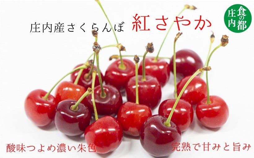 
            ★先行予約★【令和8年産】食の都庄内　庄内のさくらんぼ「紅さやか」800gバラ詰め　※令和8年6月上旬～中旬頃発送予定
          