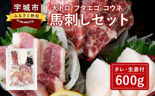 馬刺し セット 大トロ フタエゴ コウネ 600g