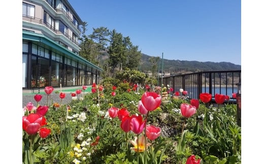 三陸花ホテルはまぎく 宿泊券（5,000円券×1枚）