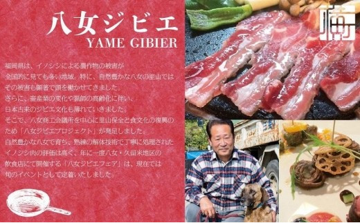 九州・福岡の上質なイノシシ肉を使用 八女ジビエイノシシカレー お試し2食セット【中辛・辛口】 ジビエ 猪 いのしし カレー レトルト おためし ヘルシー 高タンパク スパイシー 食べ比べ 食品 九州 