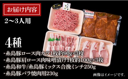 毎日 の メイン の おかず を 彩る 精肉セット 4種 ( 約1000g ) 2-3人前 4種 糸島市 / 糸島ミートデリ工房[ACA200] 豚肉 博多和牛 牛肉 BBQ トンカツ 焼肉 ハンバー