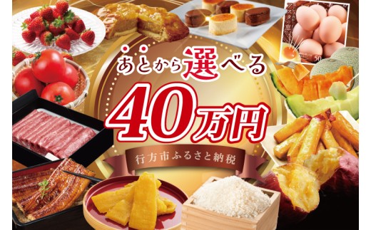 ★あとから選べる★茨城県行方市ふるさとギフト 寄附額：40万円分｜あとから選べる 後から選べる 選べる ギフト 肉 お肉 米 お米 コシヒカリ ミルキークイーン さつまいも サツマイモ 芋 お芋 うなぎ 干し芋 紅はるか スイーツ カタログ 40万円 茨城県 行方市 人気(CU-339)