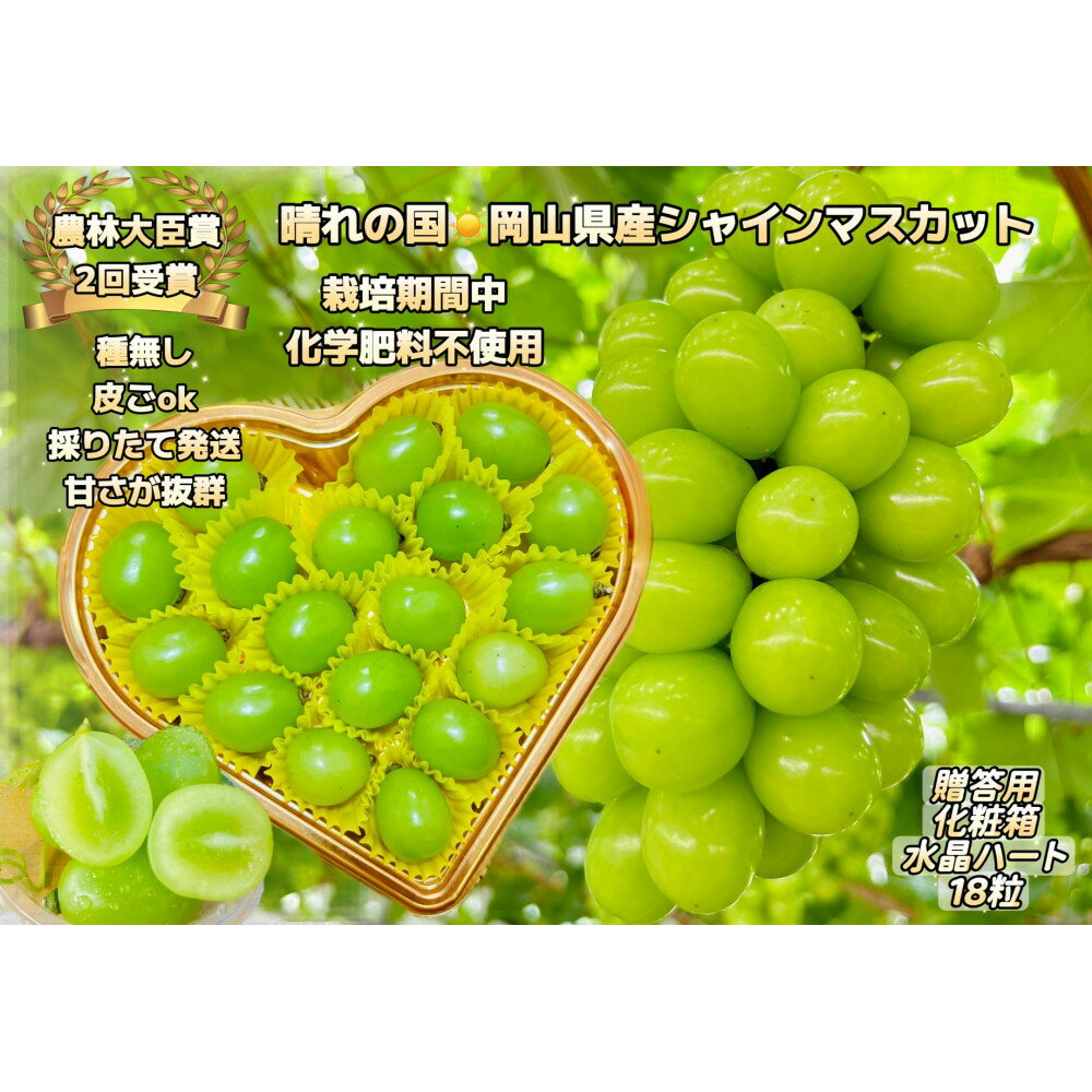 【ふるさと納税】ぶどう 2026年 シャインマスカット 大粒厳選秀品18粒 宝石箱 農林大臣賞2回受賞 ギフト 贈答用 贈り物 岡山 果物 フルーツ 採りたて発送 農家直送 数量限定 新鮮 水晶ハート化粧箱 | フルーツ 果物 くだもの 食品 人気 おすすめ 送料無料