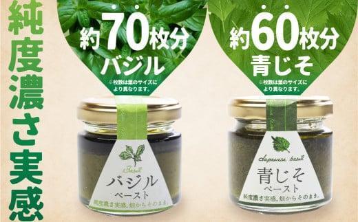 【1月配送】自然栽培調味料シリーズ バジル 青じそ ペースト 塩   調味料 飛騨高山よしま農園 CK009VC01