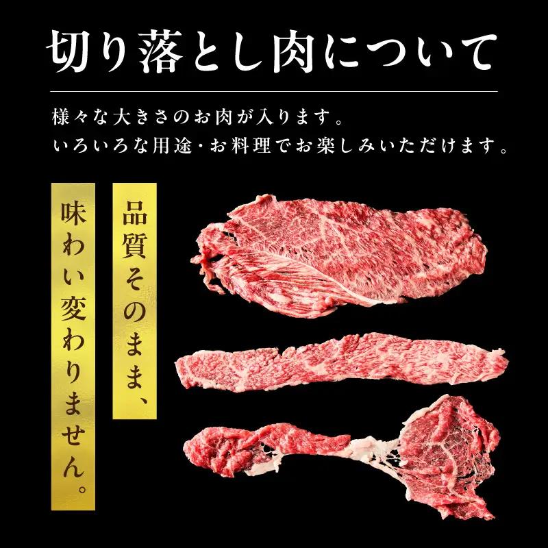 京都モリタ屋 牛肉切り落とし 約500g | 牛肉