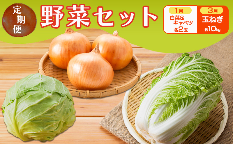 定期便 2回 野菜セット 1月(白菜 2玉・キャベツ 2玉)、3月(玉ねぎ 約10kg) セット ※配送不可：離島