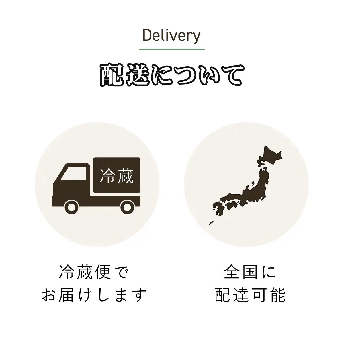 【2026年発送分先行予約】旬をお届け！青梅【２Lサイズ５㎏】 ANAR019