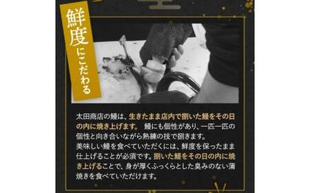 うなぎ 蒲焼 ２本 国産 【ots016】