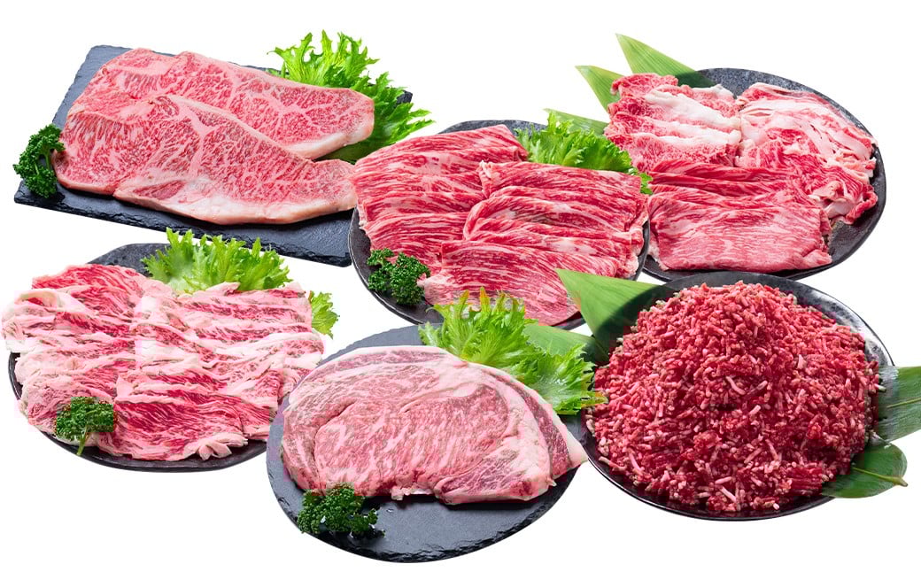
            【年6回定期便】 長崎和牛 トライアルコース ／ 6回定期便 和牛 牛肉 お肉 肉 赤身 サーロイン もも カルビ バラ ロース 牛ミンチ ミンチ リブロース ステーキ 焼き肉 焼肉 すき焼き しゃぶしゃぶ 定期便 長崎県 時津町 冷凍
          