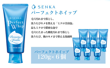 【美容】センカ パーフェクトホイップ 120g 6個 | 美容 洗顔