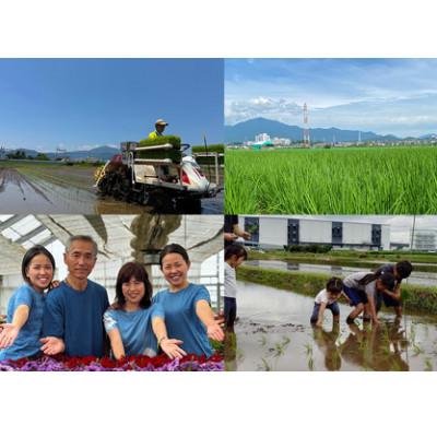 ふるさと納税 伊勢原市 [令和7年産]伊勢原産 精米 5kg てんこもり 農家直送!加藤さんちのうんめぇ米 |  | 03