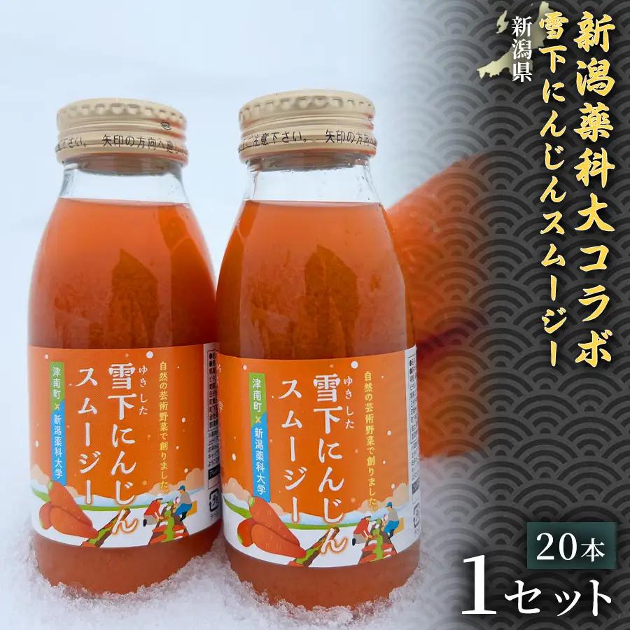 新潟薬科大コラボ 雪下にんじんスムージー 200ml（20本1箱） １セット| 津南町 にんじん