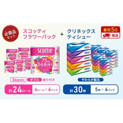 ふるさと納税 岩沼市 ティッシュ+トイレットペーパー6P   [No.5704-1780] |  | 01