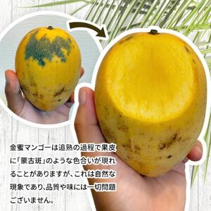 【2026年7月から順次発送・家庭用】名物おじーが作るアーウィン＆金蜜のマンゴー食べ比べ1kg【配送不可地域：離島】【1694703】