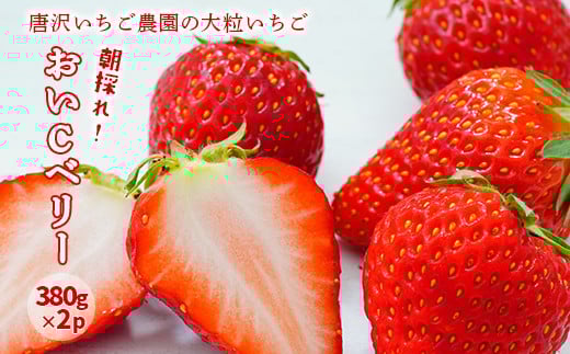 【先行予約】唐沢いちご農園  大粒いちご おいCべりー 380g×2パック