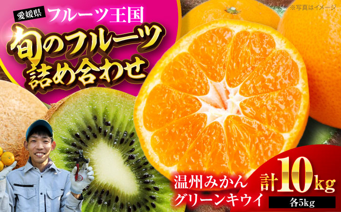 
            【先行予約】【12月上旬より順次発送】 今が旬！ フルーツ詰め合わせ （ 温州みかん グリーンキウイ 各5kg ） 果物 くだもの みかん 5kg キウイ キウイフルーツ 5kg 愛媛 みかん 愛媛県大洲市/玉川農園 [AGBC009]
          