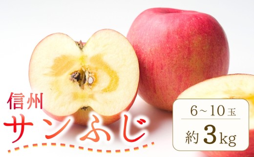 【2026年先行予約】りんご サンふじ 約3kg (6~10玉) ｜ さんふじ フルーツ 果物 信州りんご 産地直送 千曲市 長野県産 信州