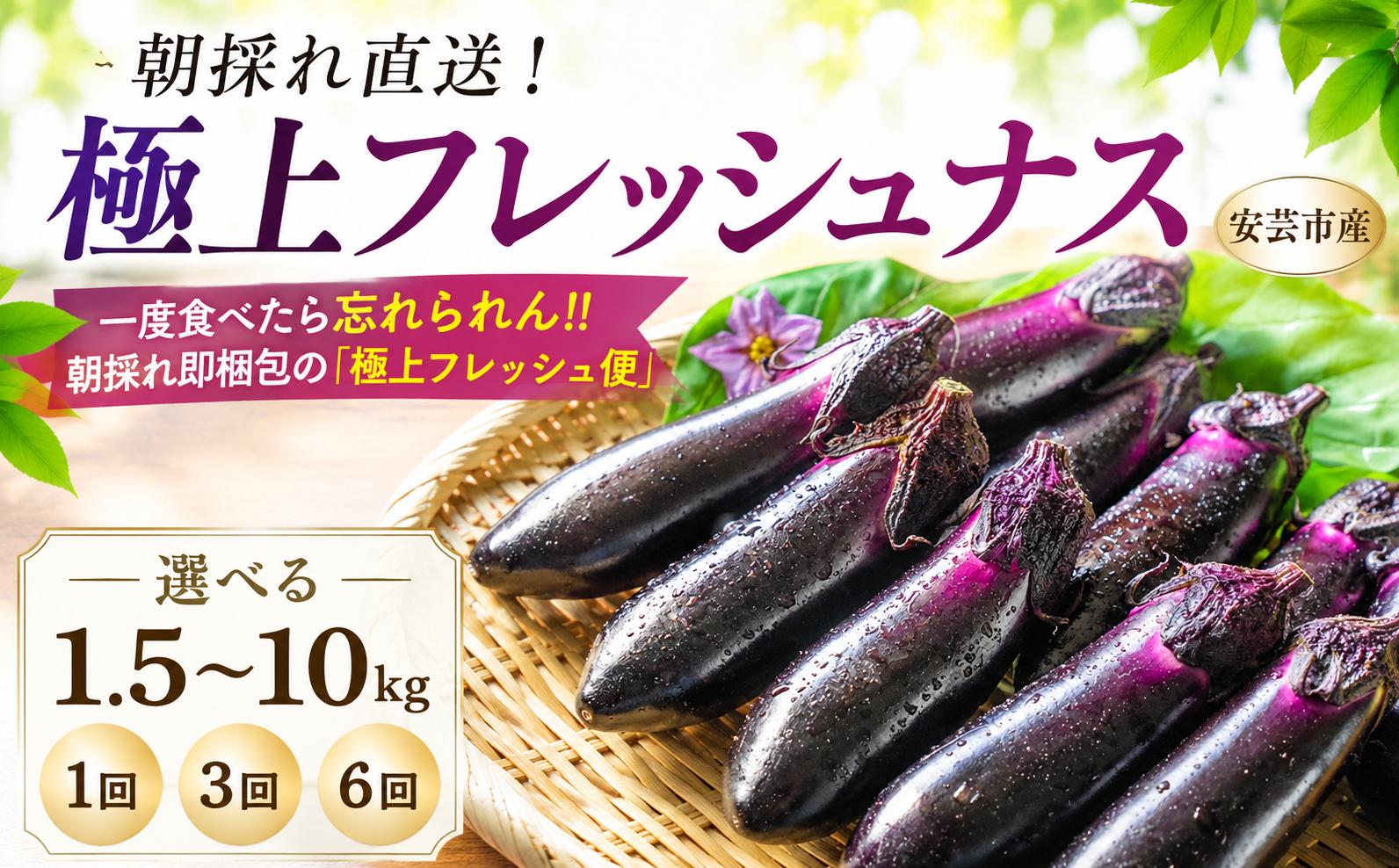 
                  【先行受付】なす 選べる 1.5kg 3kg 5kg 10kg 3回定期便 6回定期便 約15本 ～ 100本  朝採れ 農家直送 新鮮 旬 野菜 やさい 茄子 ナス なすび 先行予約 期間限定 季節 料理 ごはん 高知県 特産品 優秀賞 天敵農法 自家製肥料 環境制御 お竜 焼きなす 揚げ浸し nasu 煮びたし カレー なす パスタ たたき こたにん農園 安芸市 高知県
                
