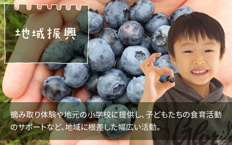 【先行予約】【7月中旬以降順次発送】【訳あり】令和8年産〈冷凍〉手摘み有機ブルーベリー1kg（500g × 2パック） 1kg（500g × 2パック）