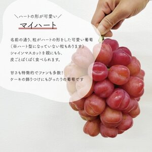 【きよとうファーム】訳ありご家庭用 ハートの形が可愛い!マイハート/ 約2.4kg (岡山県産)【配送不可地域：離島】【1633184】