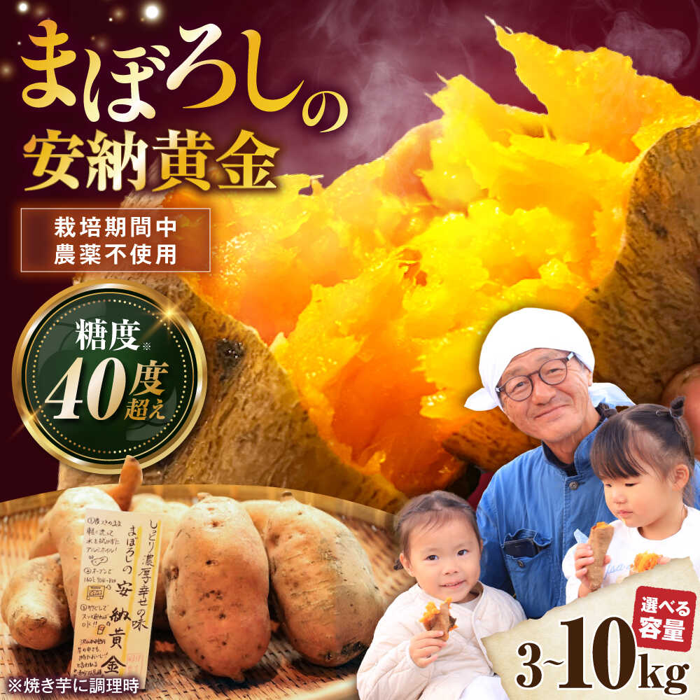 【ふるさと納税】【選べる容量】【厳選】熟成安納黄金 3kg～10kg 安納芋 さつまいも お芋 いも 安納いも さつま芋 おいも 蜜いも 野菜 サツマイモ 送料無料 滋賀県長浜市/好作豊吉[AQCF009]