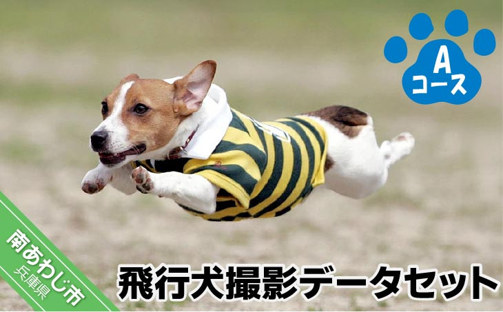 飛行犬撮影データセット