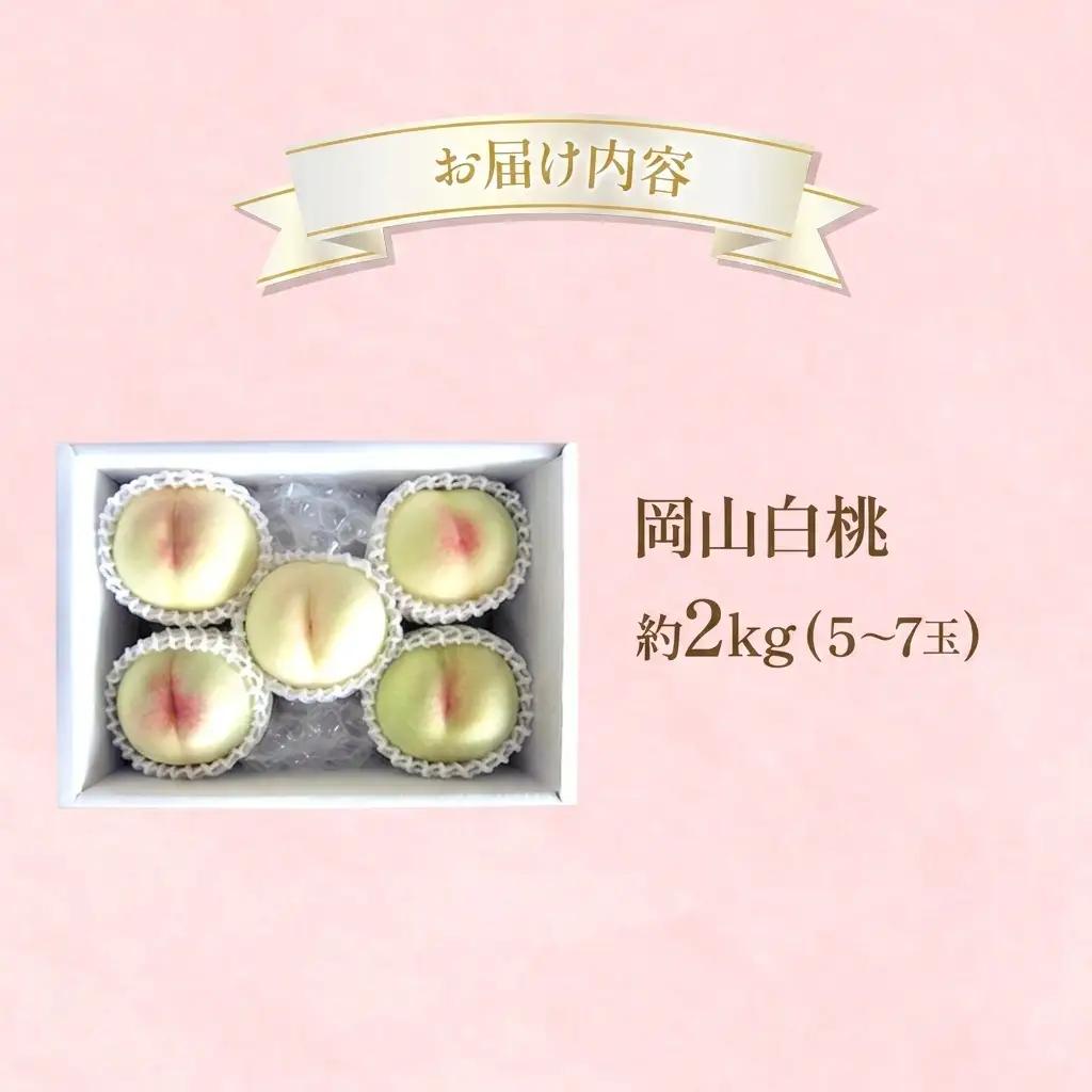 白桃 岡山県産 白桃【約2kg5～7玉】【先行受付】