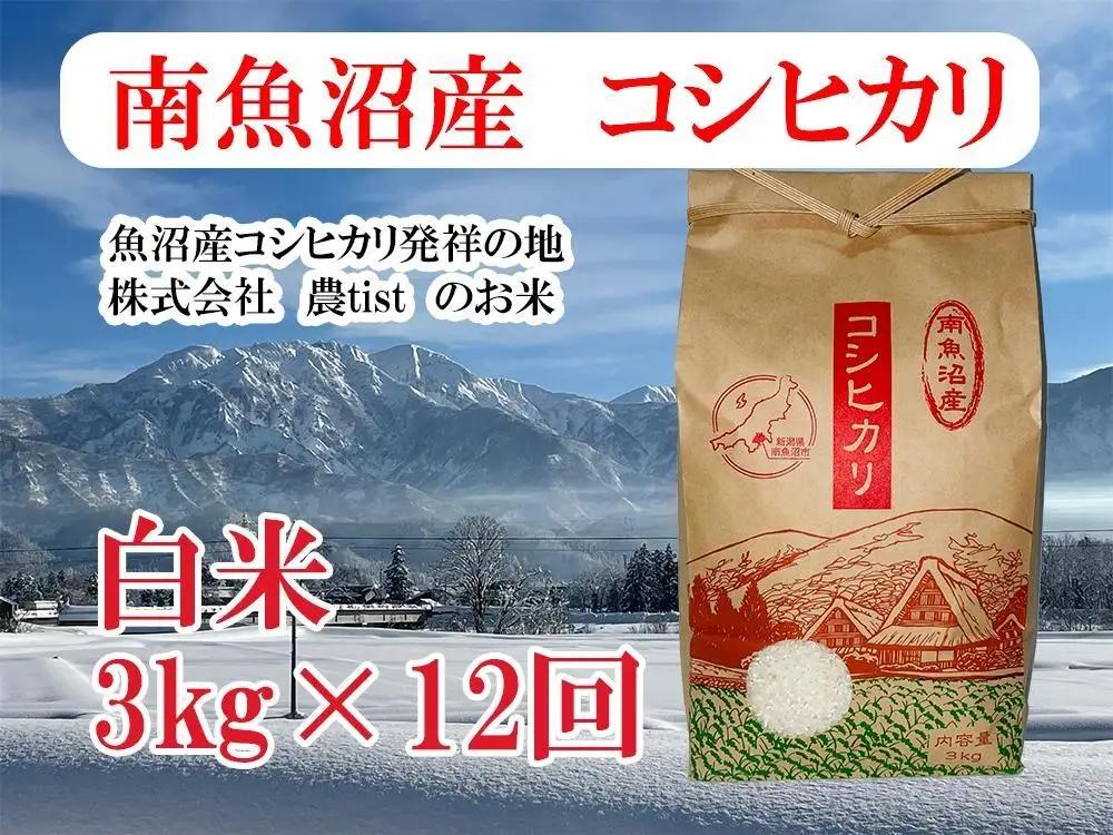 【令和8年 新米】【定期便 南魚沼産】コシヒカリ 白米3kg×12回｜コシヒカリ
