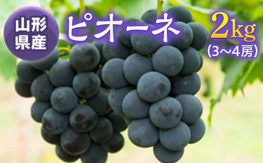 《先行予約 2026年度発送》ピオーネ2kg(3～4房)  ぶどう ブドウ 葡萄 デザート フルーツ 果物 くだもの 果実 食品 山形県 FSY-0526